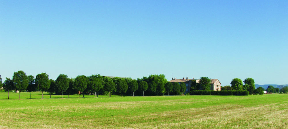 HomePage - Villa Aiola