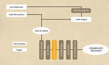 Sedimentazione - Villa Aiola